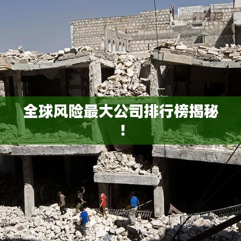 全球风险最大公司排行榜揭秘！