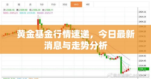 黄金基金行情速递，今日最新消息与走势分析
