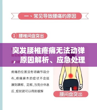 突发腰椎疼痛无法动弹，原因解析、应急处理与预防策略
