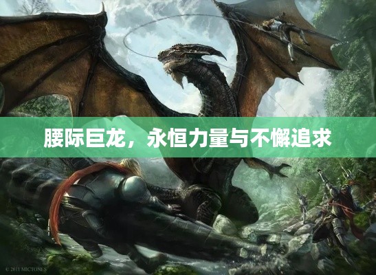 腰际巨龙，永恒力量与不懈追求