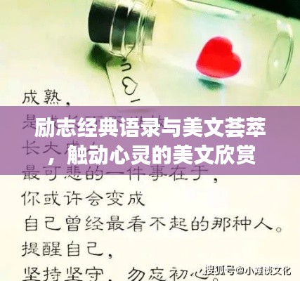 励志经典语录与美文荟萃，触动心灵的美文欣赏
