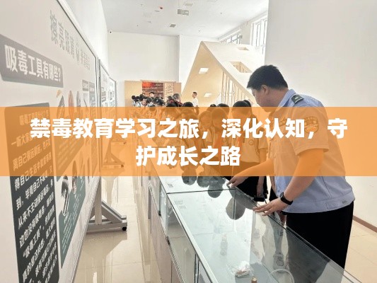 禁毒教育学习之旅，深化认知，守护成长之路
