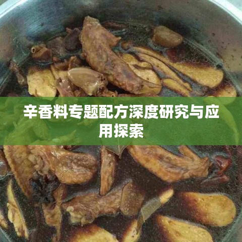 辛香料专题配方深度研究与应用探索