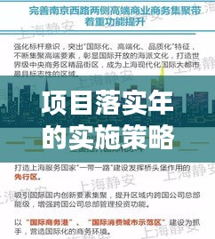 项目落实年的实施策略，深化执行，推动项目高效落地
