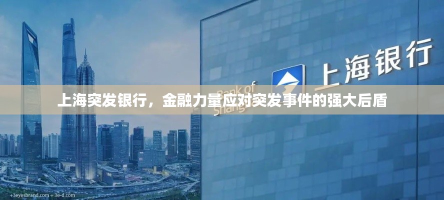 上海突发银行，金融力量应对突发事件的强大后盾