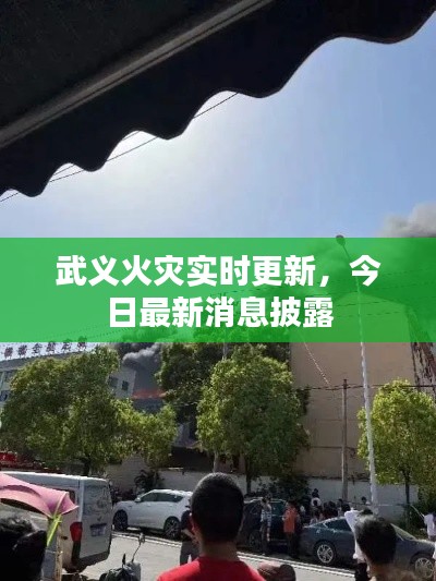 武义火灾实时更新，今日最新消息披露