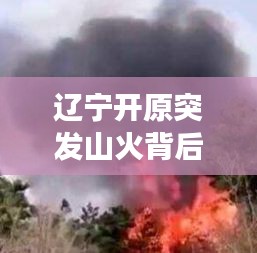 辽宁开原突发山火背后的紧张故事，火线上的生死瞬间