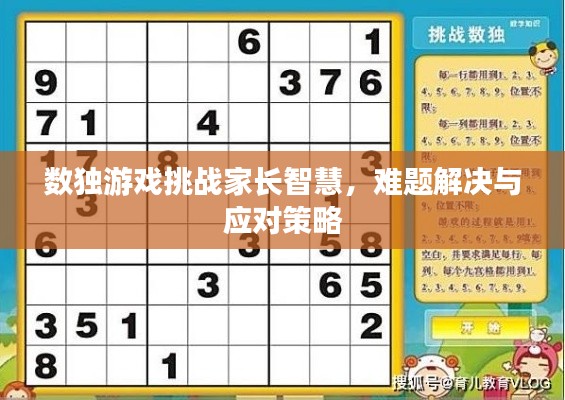 数独游戏挑战家长智慧，难题解决与应对策略