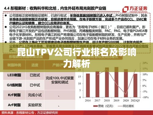 昆山TPV公司行业排名及影响力解析