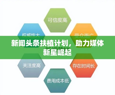 新闻头条扶植计划，助力媒体新星崛起