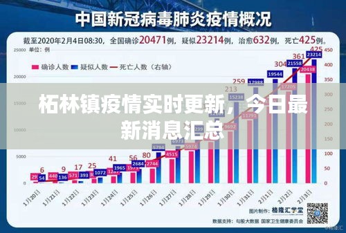 柘林镇疫情实时更新，今日最新消息汇总