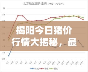 揭阳今日猪价行情大揭秘，最新分析与趋势预测