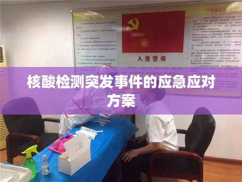 核酸检测突发事件的应急应对方案