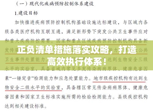 正负清单措施落实攻略，打造高效执行体系！