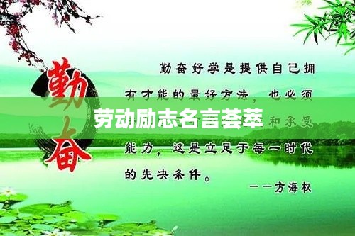 2025年6月25日 第5页