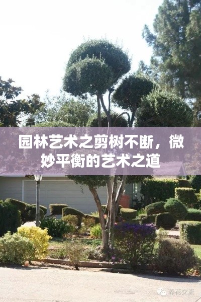 2025年6月25日