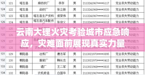 2025年6月26日 第3页