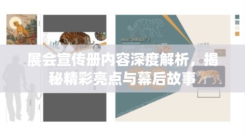 展会宣传册内容深度解析，揭秘精彩亮点与幕后故事