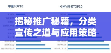 揭秘推广秘籍，分类宣传之道与应用策略全解析