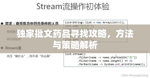 独家批文药品寻找攻略，方法与策略解析