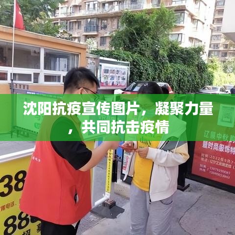 沈阳抗疫宣传图片，凝聚力量，共同抗击疫情