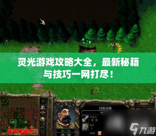 灵光游戏攻略大全，最新秘籍与技巧一网打尽！