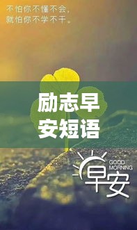 励志早安短语录，唤醒心灵的力量，治愈美好一天的开始