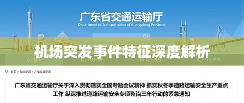 机场突发事件特征深度解析