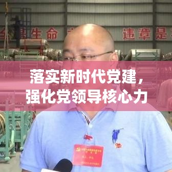 落实新时代党建，强化党领导核心力量，筑牢发展根基