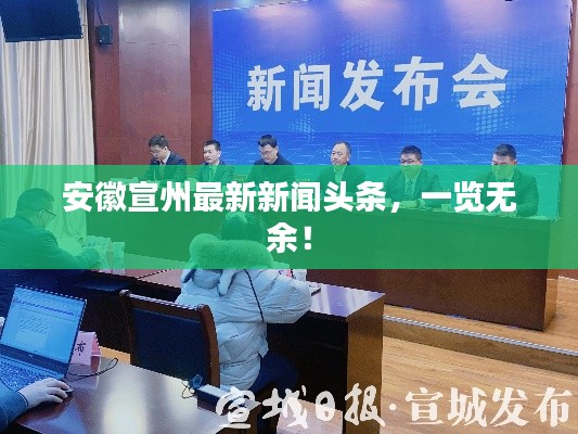 安徽宣州最新新闻头条，一览无余！