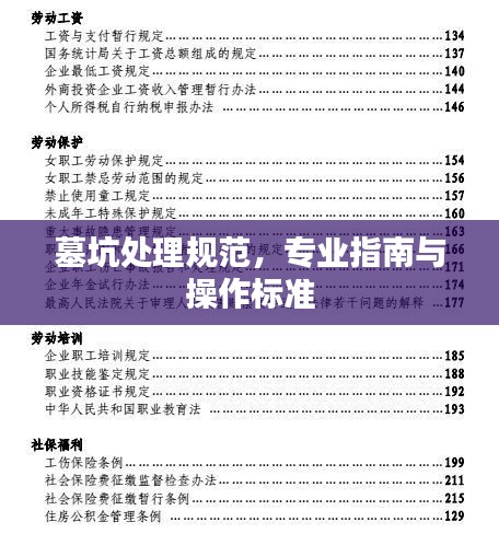 墓坑处理规范，专业指南与操作标准