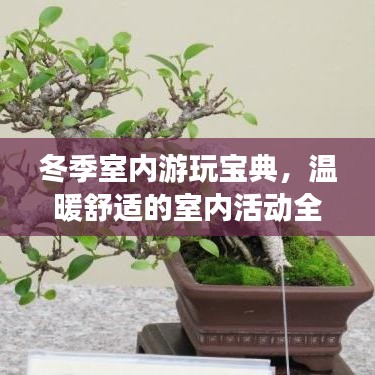 冬季室内游玩宝典，温暖舒适的室内活动全攻略