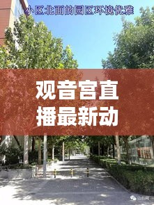 观音宫直播最新动态揭秘，今日消息一网打尽