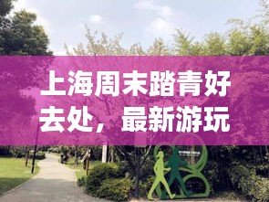 上海周末踏青好去处，最新游玩攻略一网打尽！
