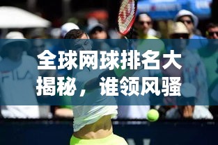 全球网球排名大揭秘，谁领风骚，谁独占鳌头？