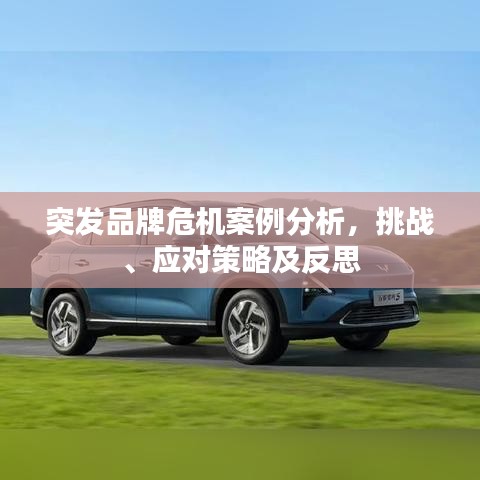 突发品牌危机案例分析，挑战、应对策略及反思
