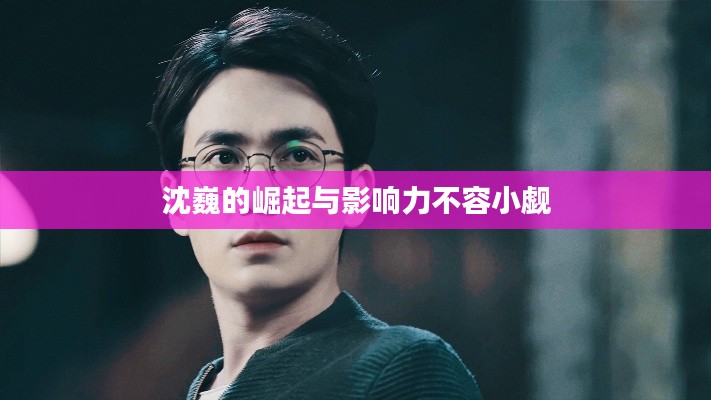 沈巍的崛起与影响力不容小觑